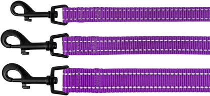 Nylon Dog Leash 5Ft for Daily Outdoor Walking Running Training Heavy Duty Reflective Pet Leashes for Large, Medium & Small Dogs